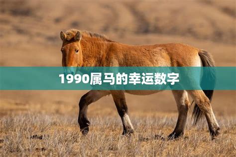 1990屬馬幸運色|1990属马幸运色，90年属马的吉祥数字